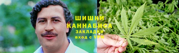 молекула духа Кулебаки